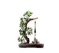 MEVZHH Fleurs Artificielles Plantes Artificielles Bonsaï Artificiel Simulation D'Arbre Chinois Au Pinceau Vue de Montagne Artificielle Galets Décoration de Bureau Et de Salon Simulation D'Arbre