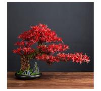 MEVZHH Fleurs Artificielles, Plantes Artificielles Plante de Simulation Podocarpus Bonsai Bienvenue Pin Fausse Plante Verte Arbre Décoration Salon Intérieur Porch Décoration Hôtel Fausse Plante En Pot