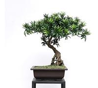 MEVZHH Fleurs Artificielles, Plantes Artificielles Plante Verte Artificielle Simulation de Plante En Pot Bienvenue Pin Salontit Bonsai Faux Pin Arbre Décoration de Bureau D'Étude Pour L'Arbre de Simul