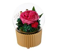 MEVZHH Fleurs Décoratives Cadeaux Pour Les Femmes Fleur Éternelle Conservée Fleur Fraîche Éternité Rose Avec Boîte À Muspour Toujours Cadeau Pour L'Anniversaire Saint-Valentin