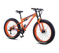 MEVZHH Hommes Femmes Graisse Pneu Vélo de Montagne 4 Pouces Larges Pneus Tout Terrain 24 Pouces Roues Acier Au Carb7/21/24/27/30 Vitessepension Complète Vélo de Montagne Adultes Adolescents Rouge 30 V