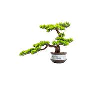 MEVZHH Plantes Artificielles, Bienvenue Songya Simulation Bonsai Salon Décoration D'Hôtel Ornaments Nouveau Faux Arbre Artisanat En Pot Cadeaux Arbre de Simulation/C. B