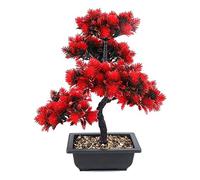 MEVZHH Plantes Artificielles Créative Bonsaï Arbre Décoration de Plante Artificielle Ne S'Est Pas Fanée Pas D'Arrosage En Pot Pour La Maison de Bureau, Plastique, Arbre de Simulation Élevé de 15,7 "/C