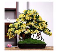 MEVZHH Plantes Artificielles Salon Plante de Simulation Bonsai Intérieur Fausse Fleur Cabinet Tv Porch Plante Verte Faux Arbre Ornament En Pot Décoration Cadeau Arbre de Simulation/A