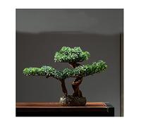MEVZHH Plantes Artificielles Saturey Simulation Plante En Pot 15 Arbre de Bonsaï, Fausses Plantes Arbre En Pot En Cérampin Artificiel Décoration de L'Arbre de Bonsaï Pour Bureau À La Maison Cuisine Fe