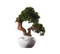 MEVZHH Plantes Artificielles Saturey Simulation Plante En Pot Arbre Artificiel de Bonsaï, Fausses Plantes En Pot En Céramique, Fausse Plante En Pot Pour Le Bureau de La Maison Zen Jardin Salon Décor,