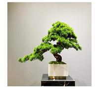 MEVZHH Plantes Artificielles, Simulation Bienvenue Pin Bonsai Nouveau Chinois Podocarpus Plantes Vertes Aménagement Paysager Salon Accueil Porch Décoration Décoration Cadeaux Arbre de Simulation