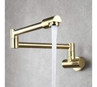 MEVZHH Robinets, Robinets Pour Remplisseur de Pot de Cuisine Monté Au Mur, Robinet D'Eau Froideiversel Pivotant 360 Poignéemultifonction, Robinet de Cuisine Éviers de Cuisine Brossé D'Or/Brossé Or