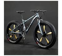 MEVZHH Vélo de Montagne Pour Adultes, 26 Pouces de Roues, Hommes, Freins À Disque Mécaniques, Cadre En Acier Pour Femmes, Vélo de Montagne À Queue Dure de Pneus Gras, Grey Spoke, 27 Vitesse/Gray 5 A P
