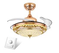 MEVZHH Ventilateurs de Plafondpes, Ventilateur de Plafond Lumières Restaurant Ventilateur Lumières Salon Chambre À Coucher Lumières Modernes Ventilateur de Qualité Garantie Dimmidouble Control/Contrôl