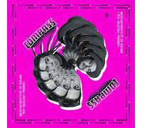 Mexican Institute Of Sound – Compass