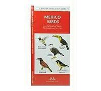 Mexico Birds: A Folding Pocket Guide To Familiar Species
