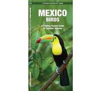 Mexico Birds A Folding Pocket Guide to Familiar Species by Illustrated by Dr Raymond Leung James Kavanagh James Kavanagh (Auteur)