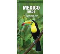 Mexico Birds A Folding Pocket Guide to Familiar Species by Illustrated by Dr Raymond Leung James Kavanagh James Kavanagh (Auteur)