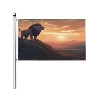 Mexpekil Drapeau double face pour l'extérieur de la faune africaine, lion, jardin, terrasse, bannière d'extérieur avec œillets métalliques, drapeau de maison pour cour, pelouse, terrasse, décoration