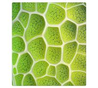 Mexpekil Green Plant Leaf Cell Couvercle magnétique pour lave-vaisselle | Housses décoratives réutilisables pour lave-vaisselle, panneau avant magnétique, autocollant pour appareils de cuisine