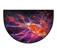 Mexpekil Magic Cells Paillasson demi-lune pour intérieur et extérieur - Antidérapant - Lavable - Absorbant - Attrape la saleté - Demi-rond - Pour entrée, 61 x 91 cm