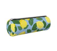 Mexpekil Trousse à crayons en cuir pour filles et garçons, petite trousse de rangement à fermeture éclair fine multi-usage pour fournitures scolaires enfants adultes, Jaune citron vert feuille, Taille