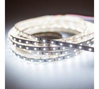 LED 3528 Bande blanc froid (6000k) 24W 500CM 24V IP20