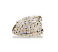 Mextronic Dimtowarm Bande LED DIM2WARM (1800-3000K) Cri 92 55,2W 5 Mètre 24V IP2