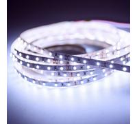 Mextronic Ruban LED 3528 Bleu-Blanc 10000K 24W 5M 12V IP20 Intérieur