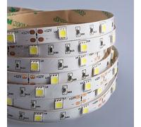 Mextronic Ruban LED 5050 Blanc Froid 6000K 36W 5m 12V IP20 12V