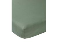 Meyco Home Basic Drap-Housse uni en Jersey pour lit Double (Drap Plat en Jersey Doux de qualité, 100% Coton, grâce à l'élastique, Dimensions : 160 x 210/220 cm) - Vert forêt