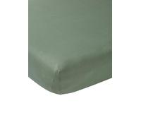 Meyco Home Basic Jersey Uni, Drap pour 1 Personne (Drap avec qualité Jersey Doux, 100% Coton, Ajustement Parfait grâce à Un Cordon élastique Tout Autour, Taille : 90 x 210/220 cm), Vert forêt