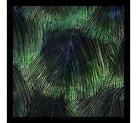 Meyer, Matthias & Davis, Ryan – Crying Juno/Cafune – Import (Alive AG)