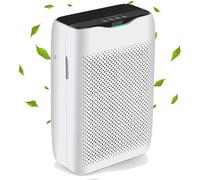 Meykey Purificateur d'air pour personnes allergiques avec filtre à air H13 HEPA contre 99,97% des moisissures, de la poussière et du pollen, CADR 258m³/h pour chambres fumeurs, la maison et le bureau