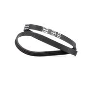 MEYLE 050 004 0845 Courroie Poly-V