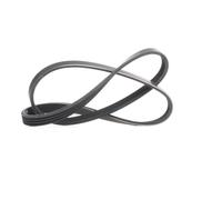 MEYLE 050 004 0920 Courroie Poly-V