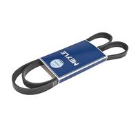 Courroie trapézoïdale à nervures MEYLE 050 005 1355