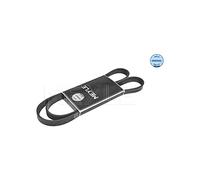 Meyle 050 005 1685 Courroie trapézoïdale à nervures