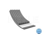 Meyle 050 006 1555 Courroie pour Opel VW Ford Renault Volvo Chevrolet BMW