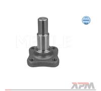 Meyle 16-14 501 0000 Rotule De Direction Arrière Pour Renault Dacia