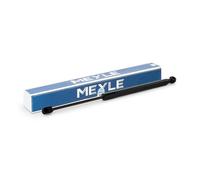 Ressort pneumatique, compartiment à bagages/cargo