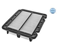 MEYLE 29-12 321 0001 Filtre à air pour CHEVROLET Aveo / Kalos Berline (T200)