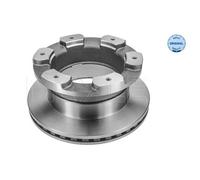 MEYLE 2X Disque De Frein Arrière Ø306 Mm Ventilé Pour Iveco Daily IV