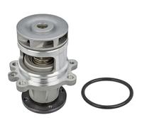 MEYLE 313 011 2900 Pompe à eau avec joint d'étanchéite
