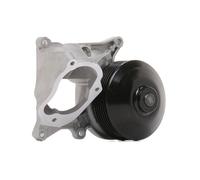 MEYLE 313 220 0019 Pompe à eau
