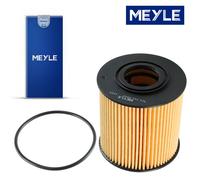 Meyle 5143220000 Filtre pour Volvo C70 I 873 872 S40 I S60 S70 S80 XC70 V40 V70