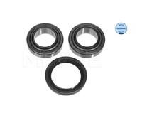 Meyle 714 101 9561 Kit Roulements Arrière pour Ford Fiesta Jv Mazda 121 III