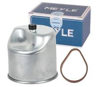 MEYLE 714 323 0015 Filtre à carburant