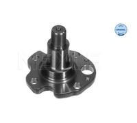 MEYLE Bras Fusée D'Essieu Suspension de Roue Arrière pour VW Golf IV 1J1