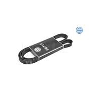 Meyle Ceinture multi-V