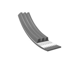 MEYLE Courroie à nervures trapézoïdales 0500030670 Compatible avec: CHEVROLET MATIZ, SPARK, FIAT BRAVA, BRAVO I, MAREA, MAREA Weekend, MULTIPLA, PALIO Weekend, STILO, STILO Multi Wagon