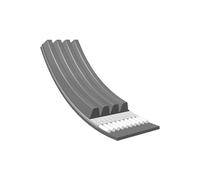 MEYLE Courroie à nervures trapézoïdales 0500040900 Compatible avec: CHRYSLER SEBRING, CITROËN JUMPY I Kasten, KIA SEPHIA, SEPHIA Stufenheck, SHUMA Stufenheck, NISSAN PRAIRIE PRO, PEUGEOT EXPERT