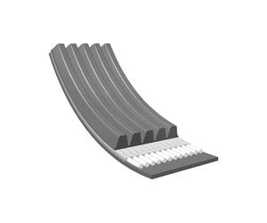 MEYLE Courroie à nervures trapézoïdales 0500050975 Compatible avec: ALFA ROMEO 155, BMW 5, 5 Touring, 7, 8, CITROËN BX, BX Break, DAIHATSU FEROZA Hard Top, FEROZA Soft Top, FIAT TEMPRA, TEMPRA S.W.