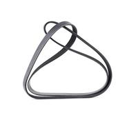 MEYLE Courroie à nervures trapézoïdales 0500061565